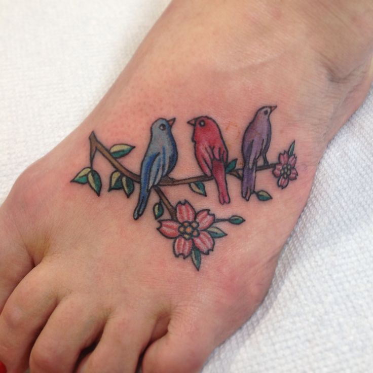 Cute Colorful Three Bird Tattoo Design For Foot