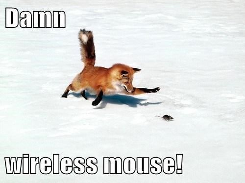 Damn Wireless Mouse Funny Mouse Meme Image