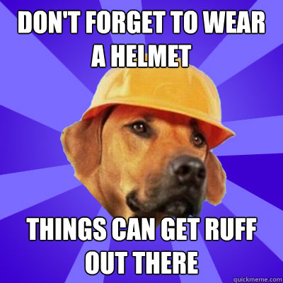 Dog Funny Safety Meme Picture