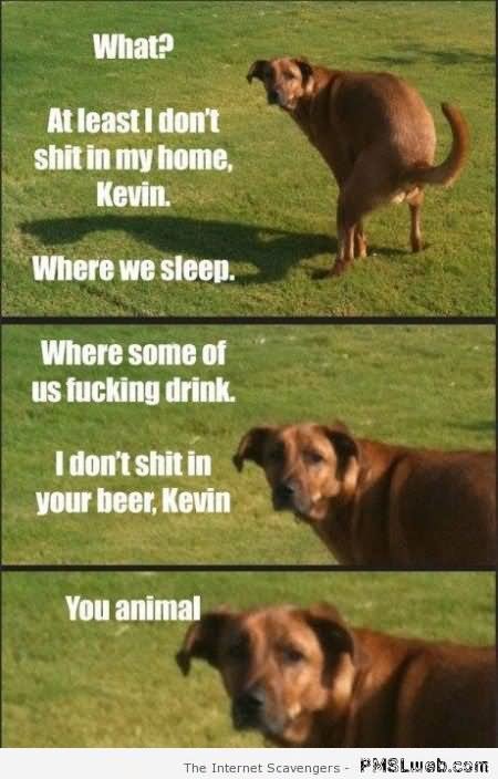 Dog Very Funny Nonsense Meme Picture For Facebook