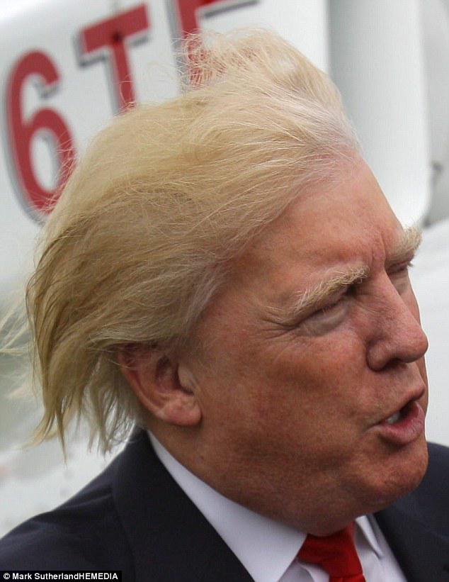 Donald Trump Funny Hair Photo