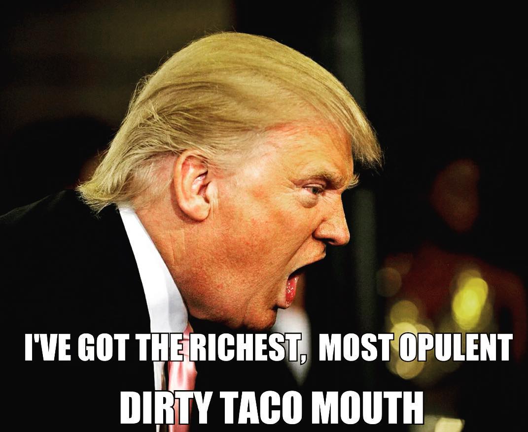 Donald Trump Funny Mouth Meme Picture