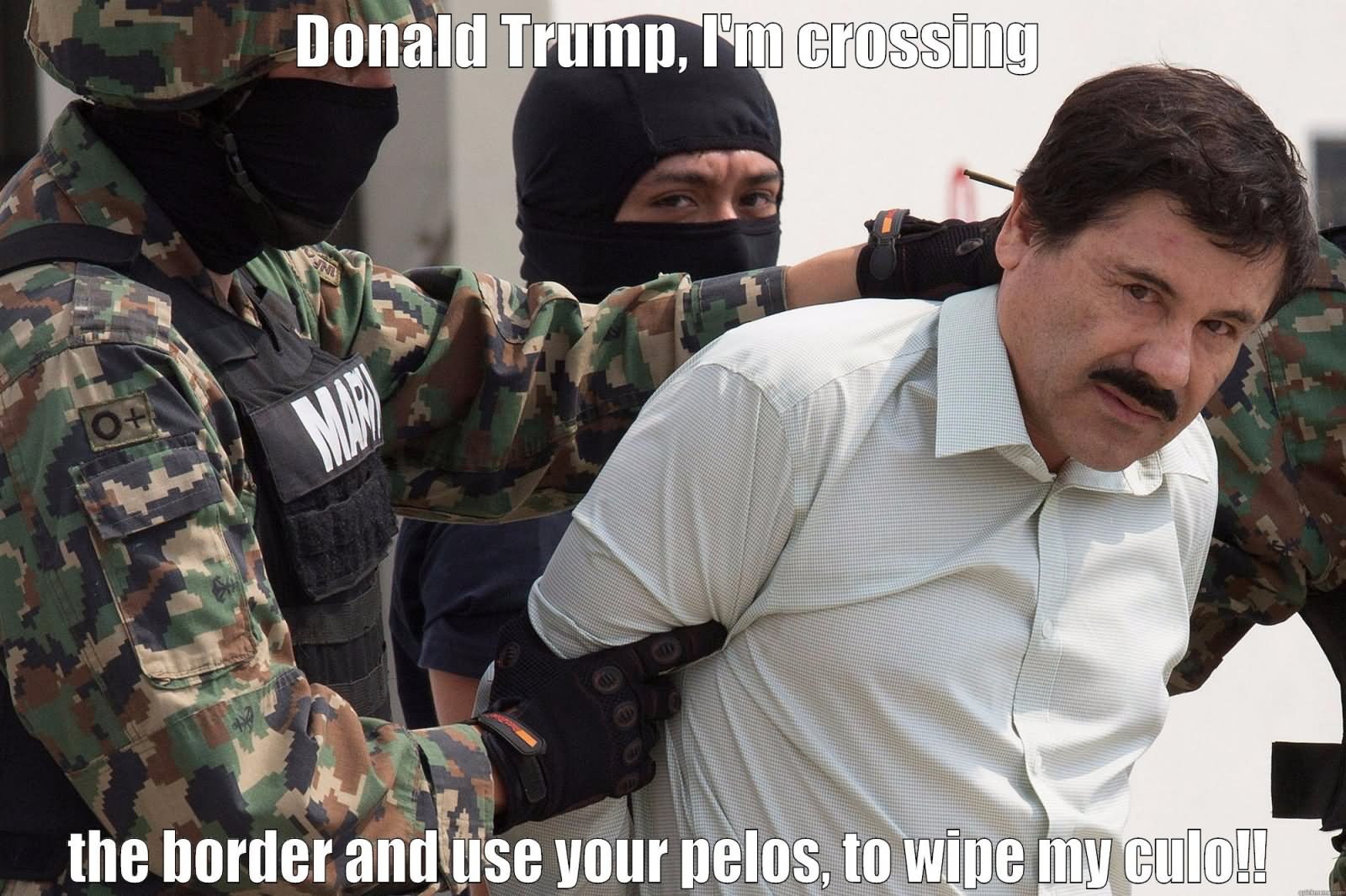 Donald Trump I Am Crossing The Border And Use Your Pelos To Wipe My Culo Funny Meme Picture