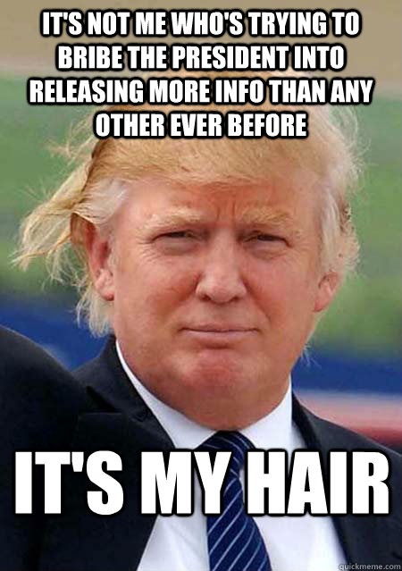 Donald Trump Say It's My Hair Funny Meme Picture