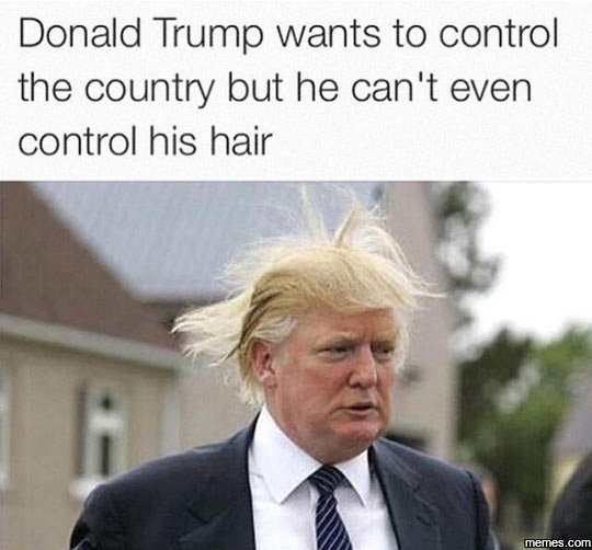 Donald Trump Wants To Control The Country But He Can't Even Control His Hair Funny Meme Picture