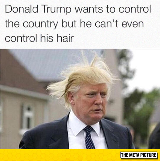Donald Trump Wants To Control The Country But He Can't Even Control His Hair Funny Picture