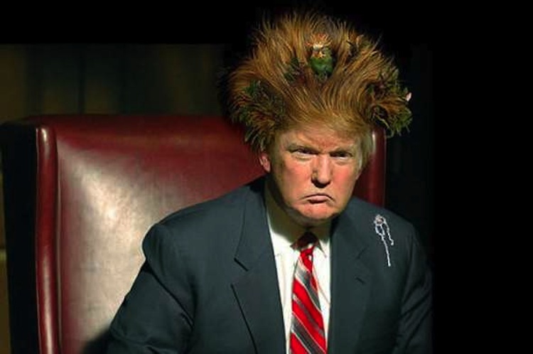 22 Donald Trump Funny Hair Pictures That Make You Laugh
