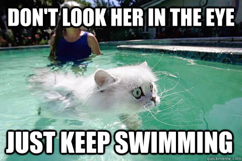 Don’t Look Her In The Eye Just Keep Swimming Funny Swimming Meme Image