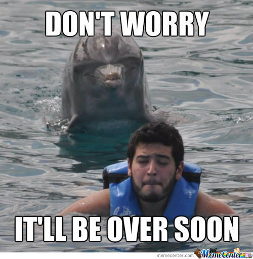 Dont-Worry-Itll-Be-Over-Soon-Funny-Dolphin-Meme-Picture.jpg