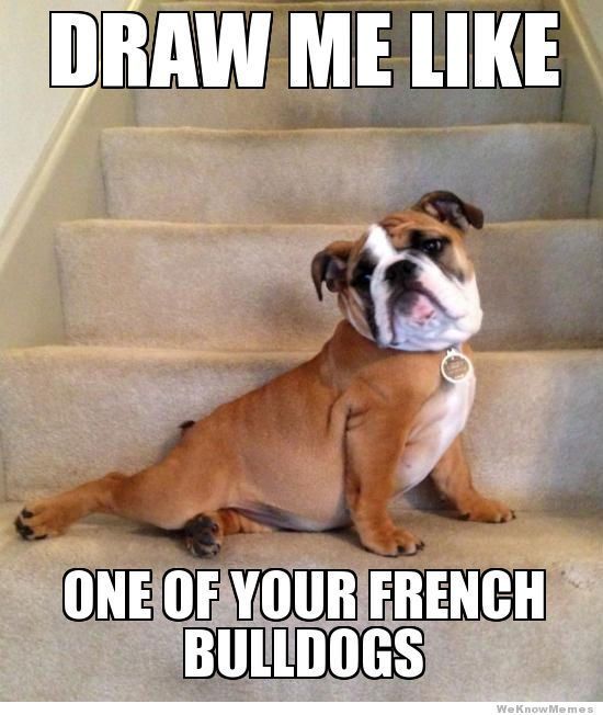 Draw Me Like One Of Your French Bulldogs Funny Dog Meme Picture
