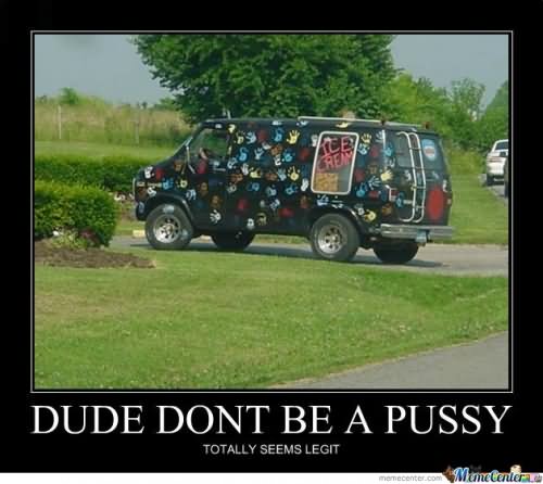 Dude Dont Be A Pussy Totally Seems Legit Funny Van Meme Poster