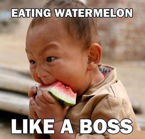 Eating Watermelon Like A Boss Funny Meme Picture