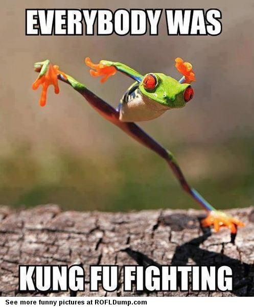Everybody Was Kung Fu Fighting Funny Fight Meme Image