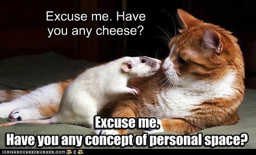 Excuse Me Have You Any Cheese Excuse Me Have You Any Concept Of Personal Space Funny Mouse Meme Image