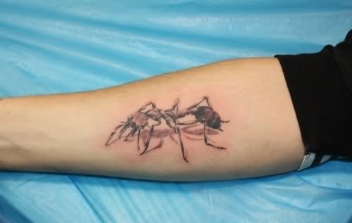 Forearm Grey Ink Ant Tattoo