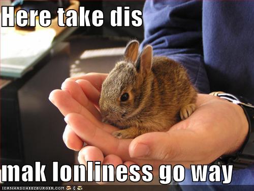 Funny Bunny Meme Hare Take dis Make Loneliness Go Away Picture
