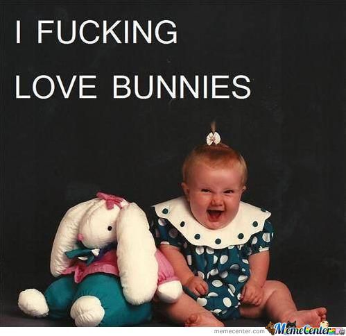Funny Bunny Meme I Fucking Love Bunnies Image