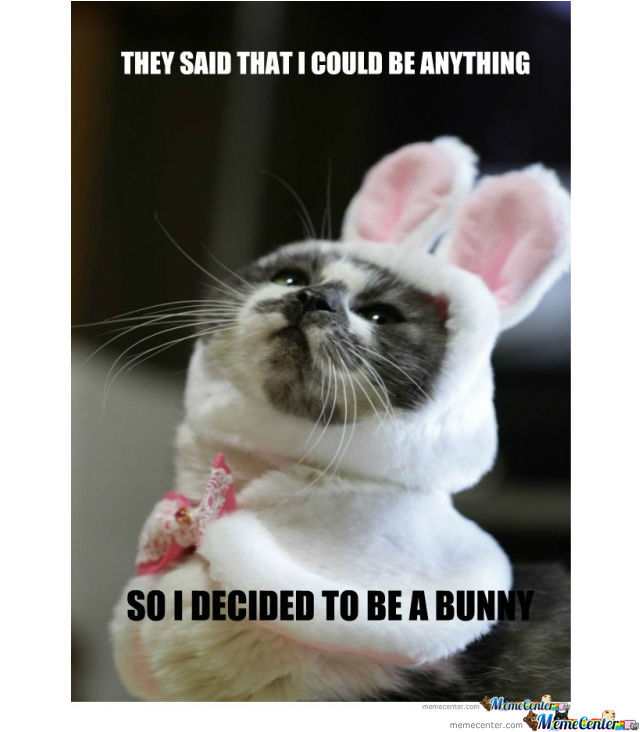 Funny Bunny Meme They Said That I Could Be Anything So I Decided To Be A Bunny Image