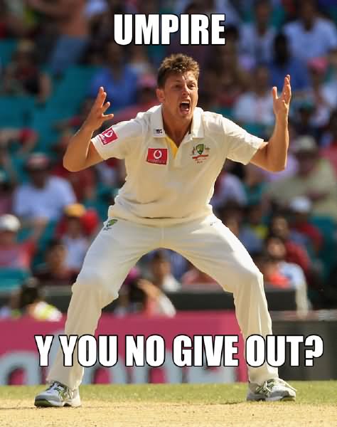 Funny Cricket Meme Umpire Y You No Give Out Image