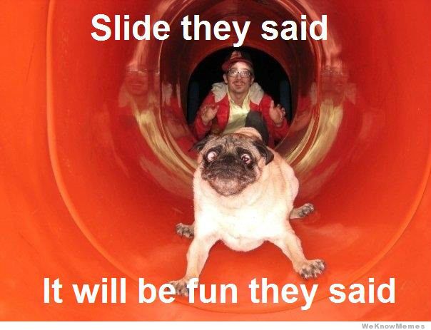 Funny Dog Meme Slide They Said It Will Be Fun They Said Image