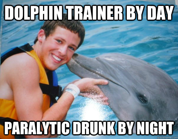 Funny Dolphin Meme Dolphin Trainer By Day Paralytic Drunk By Night Picture