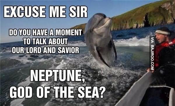 Funny Dolphin Meme Excuse Me Sir Do You Have A Moment To Talk About Our Lord And Savior Picture