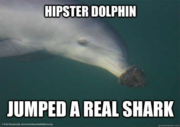 Funny Dolphin Meme Hipster Dolphin Jumped A Real Shark Photo