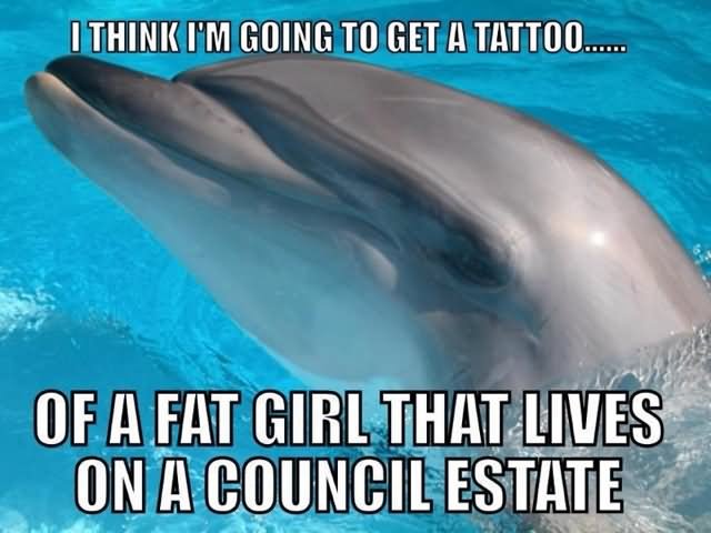 Funny Dolphin Meme I Am Going To Get A Tattoo..... Of A Fat Girl That Lives On A Council Estate Picture