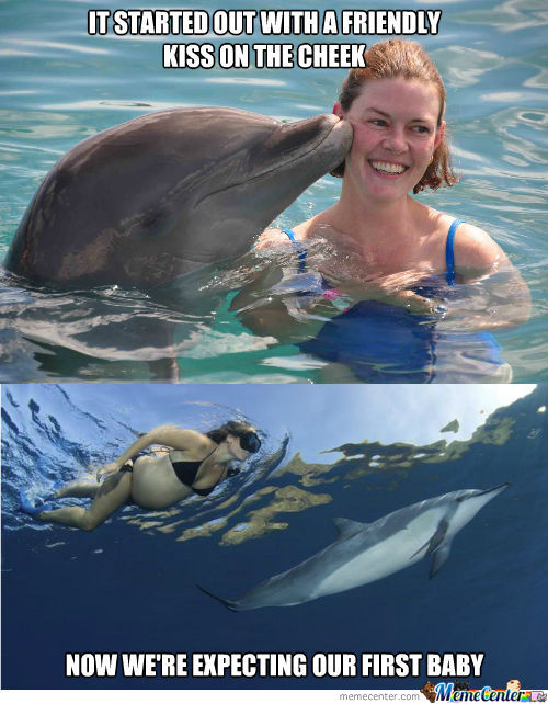 Funny Dolphin Meme It Started Out With A Friendly Kiss On The Cheek Now We Are Expecting Our First Baby Picture