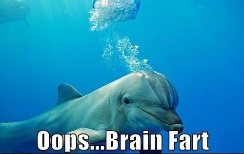 Funny Dolphin Meme Oops...Brain Fart Picture For Facebook