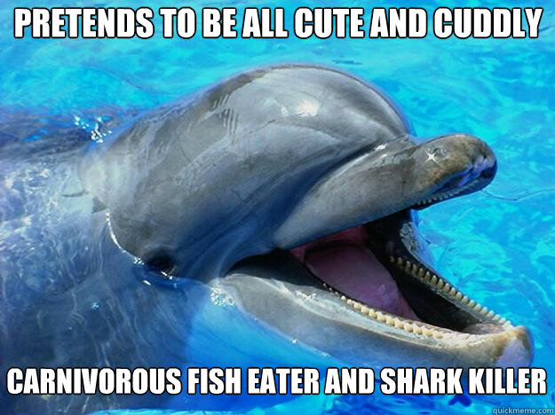 Funny Dolphin Meme Pretends To Be All Cute And Cuddly Carnivorous Fish eater And Shark Killer Picture