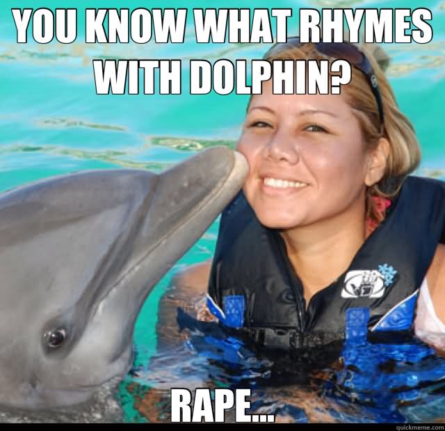 Funny Dolphin Meme You Know What Rhymes With Dolphin Rape Image
