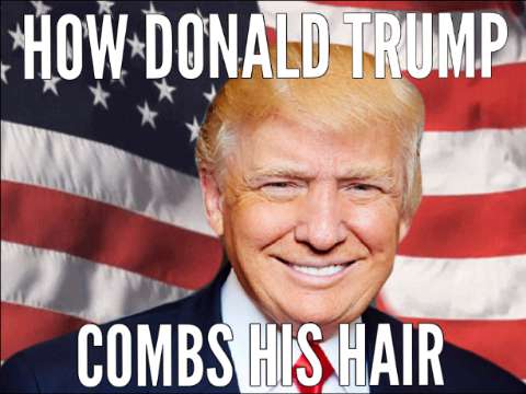 Funny Donald Trump Meme How Donald Trump Combs His Hair Picture
