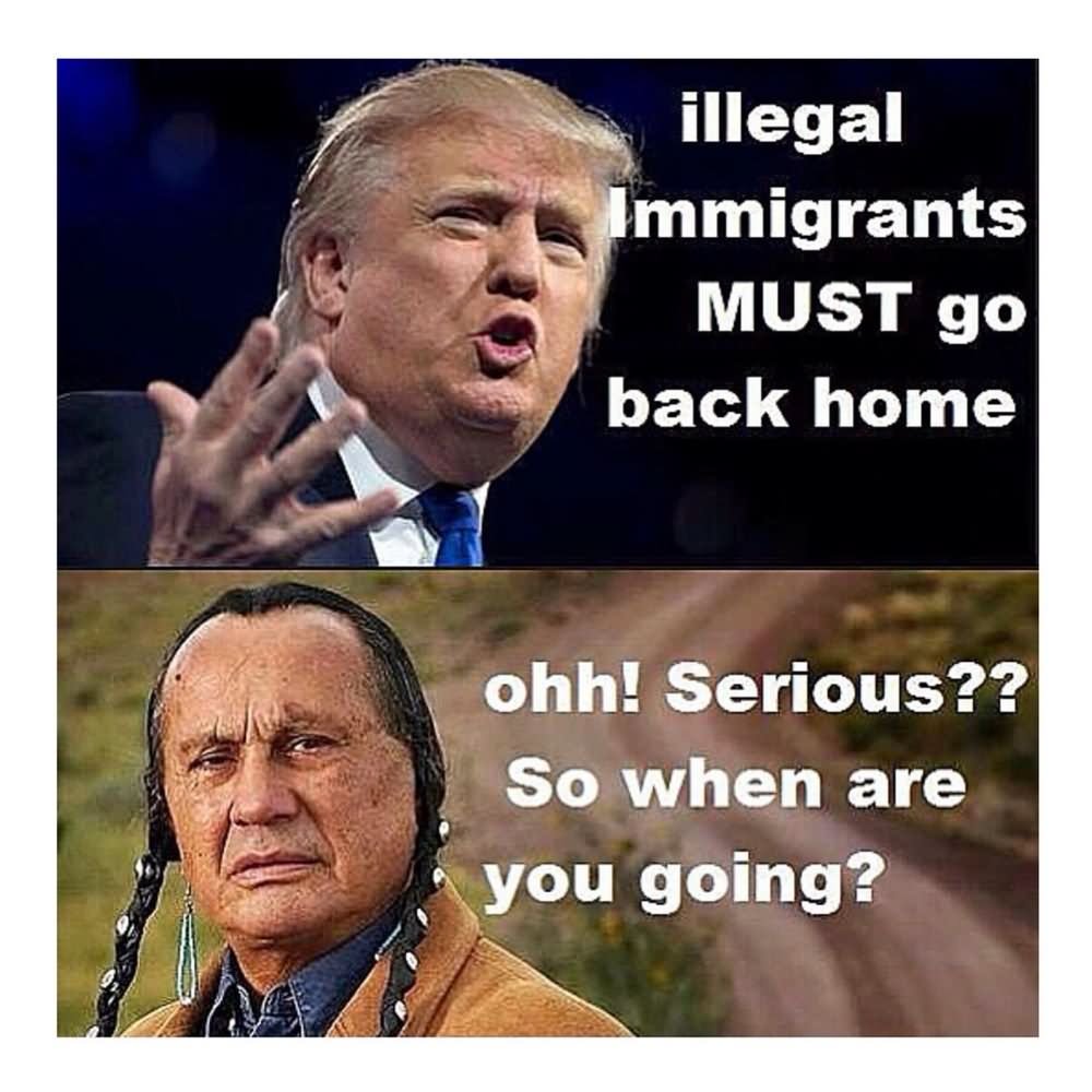 Funny Donald Trump Meme Illegal Immigrants Must Go Back Home Picture