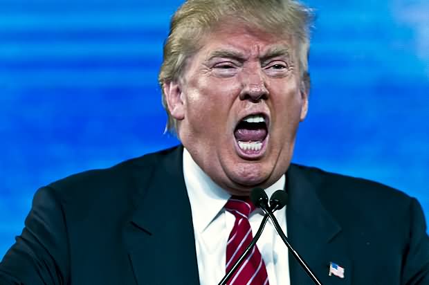 Funny Donald Trump Screaming Face Picture