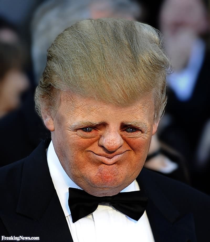 Funny Donald Trump With Tiny Face Photo