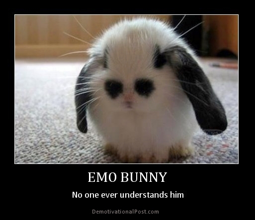 Funny Emo Bunny No One Ever Understands Him Poster Image