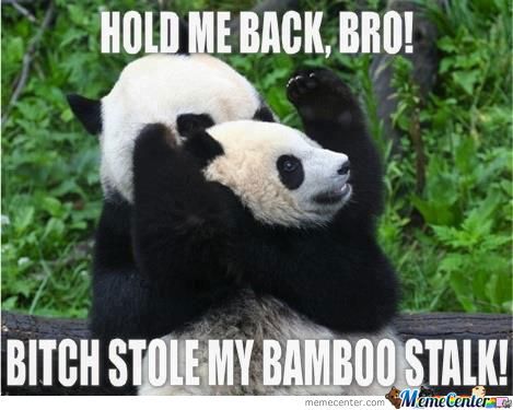 Funny Fight Meme Hold Me Back Bitch Stole My Bamboo Stalk Image