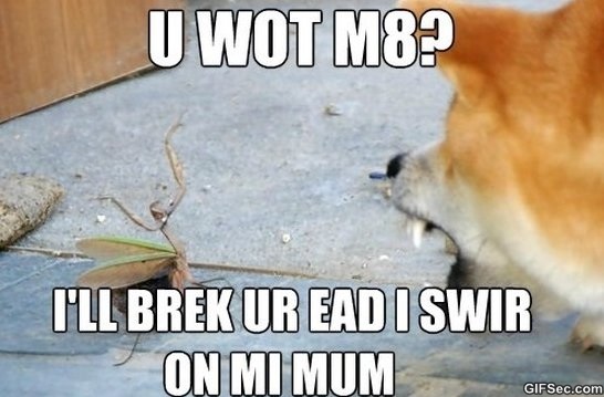 Funny Fight Meme I Will Brek Ur Ead I Swir On Mi Mum Image