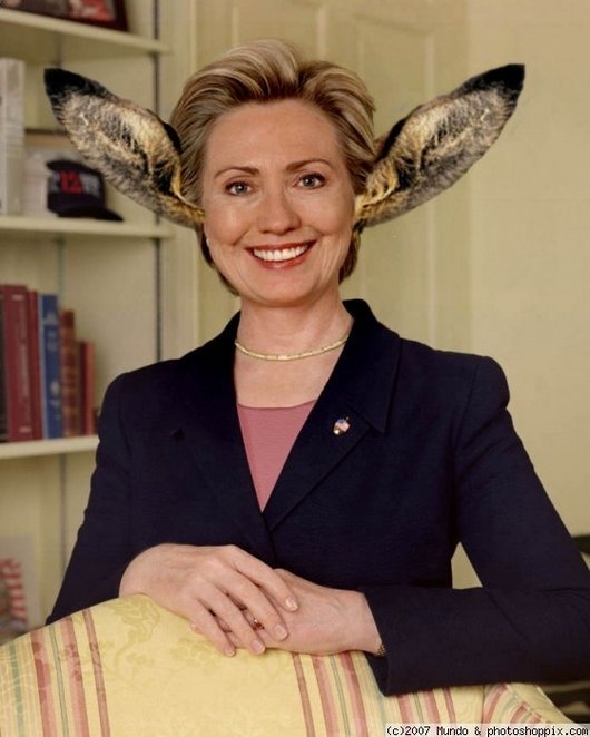 Funny Hillary Clinton With Kangaroo Ears Photoshop Image