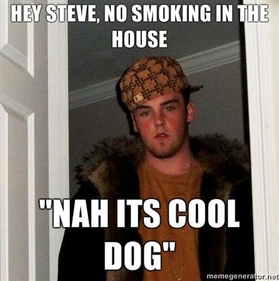 Funny Internet Meme Hey Steve No Smoking In The House Nah Its Cool Dog Photo