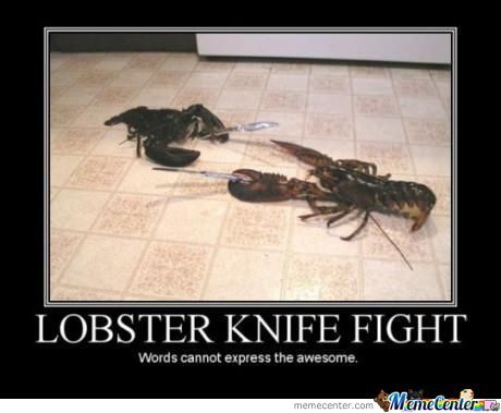 Funny Lobster Knife Fight Meme Poster Image