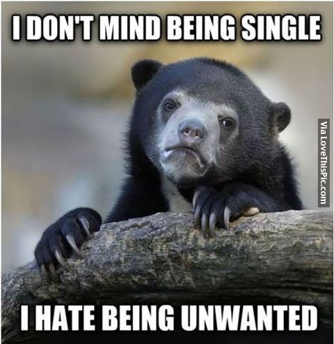 Funny Love Meme I Don’t Mind Being Single I Hate Being Unwanted Picture