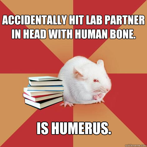 Funny Mouse Meme Accidentally Hit Lab Partner In Head With Human Bone Is Humerus Image
