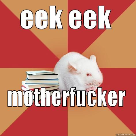 Funny Mouse Meme Eek Eek Motherfucker Picture