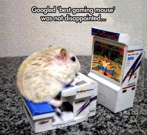 Funny Mouse Meme Googled Best Gaming Mouse Was Not Disappointed Picture