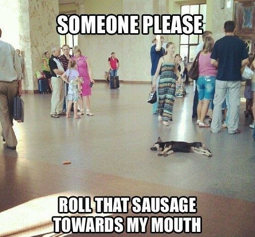 Funny Mouth Meme Someone Please Roll That Sausage Towards My Mouth Image