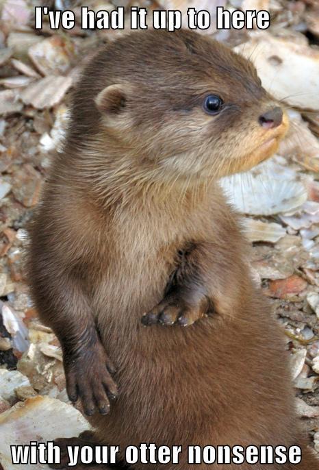 Funny Nonsense Meme I Have Had It Up To Here With Your Otter Nonsense Picture