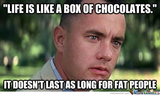 Funny People Meme Life Is Like A Box Chocolates It Doesn't Last As Long For Fat People Image