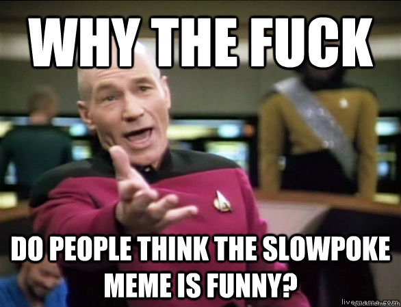 Funny People Meme Why The Fuck Do People Think The Slowpoke Meme Is Funny Image